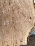 Oak Slab Oak562 3.1" x 14" x 31"