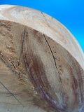 Sycamore Block Syc-441 1.8" x 7.2" x 7.2"