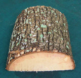 Green Ash Bowl Blank GA-100 ~6" x ~2.5" depth