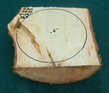 Green Ash Bowl Blank GA-102 ~6" x ~2.5" depth