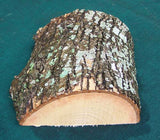 Green Ash Bowl Blank GA-102 ~6" x ~2.5" depth