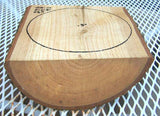 Green Ash Bowl Blank GA-111 6"x 6"x 3" depth