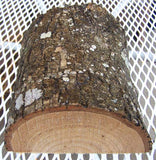 Green Ash Bowl Blank GA-115 6"x 7"x 3" depth