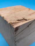 Texas Ash Block TA-239 2.8" x 2.8" x 3.3"