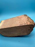Mesquite Bowl Blank M-1084 2" x 7" x 8"