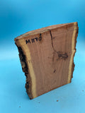 Mesquite Bowl Blank M1170 2" x 5.5" x 6"