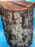 Mesquite Bowl Blank M-1140 3.25" x 9" x 11"