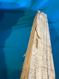 Hackberry Block Hk-444 2.2" x 2.2" x 21.5"