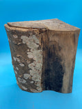 Hackberry Bowl Blank Hk-440 3" x 6" x 8"