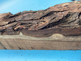 Mesquite Block M-1047 2.1" x 2.2" x 16.4"