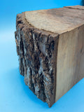 Black Walnut Block BW-395 2.5" x 5" x 5"