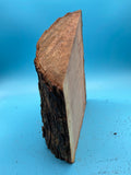 Mesquite Bowl Blank M-1084 2" x 7" x 8"