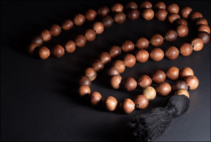 Huisache Beads