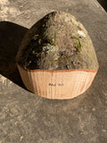 Alder Bowl Blank Ald70 9" x 9" x 5"