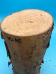 Madrone Log Md85 3.2" x 3.5" x 8"