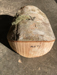 Alder Bowl Blank Ald71 8" x 8" x 4.5"