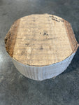 White Oak Bowl Blank WO567 9" x 9" x 3.7"