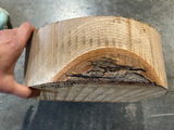 White Oak Bowl Blank WO568 10" x 10" x 3.5"
