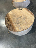 White Oak Bowl Blank WO568 10" x 10" x 3.5"