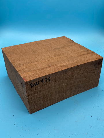 Black Walnut Bowl Blank BW435 3" x 6" x 6.9"