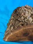 Mesquite Bowl Blank M-1120 8.5" x 10" x 4"